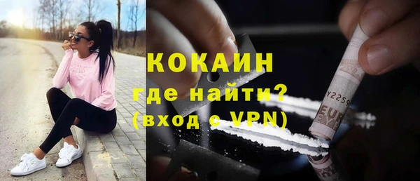 гидра Богородск