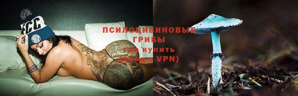 каннабис Богданович