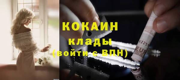 молекула духа Белоозёрский