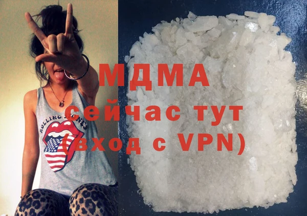 гидра Богородск