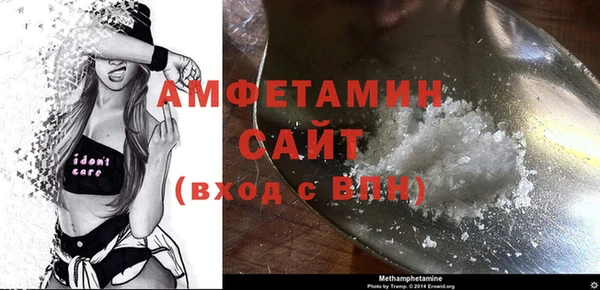 прущие грибы Рославль