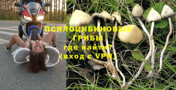 молекула духа Белоозёрский