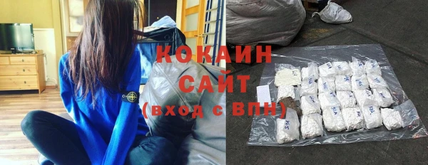 ECSTASY Богородицк