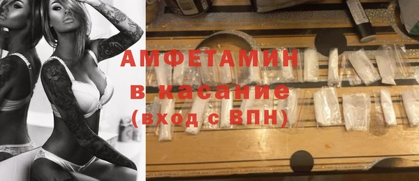 гидра Богородск