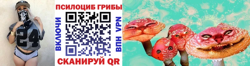 Галлюциногенные грибы Psilocybine cubensis  Бокситогорск 
